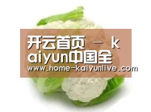 产品名称九