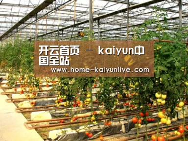 种植基地二(图1)