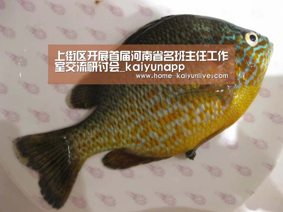 kaiyun官方网站
